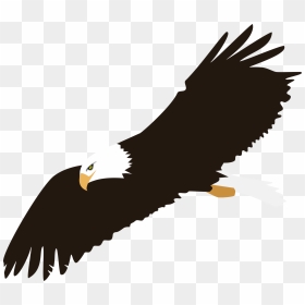 Free Eagle With Transparent Background, Download Free - Eagle Clip Art Png, Png Download - eagle vector png