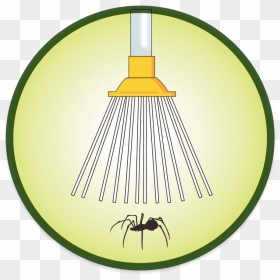 Circle, HD Png Download - spiders png