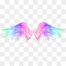 Colorful Wings Transparent Background, HD Png Download - shield with wings png