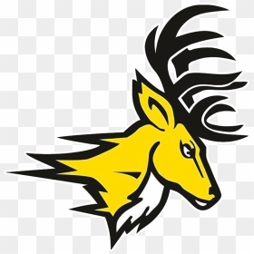 School Logo Image - Fairfield Stags, HD Png Download - bucks logo png
