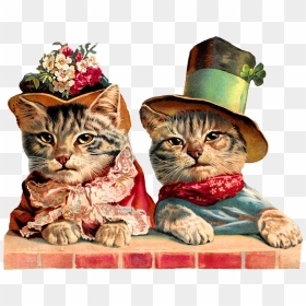 Cats Animal Image Humorous Victorian Image Clipart - Victorian Cat Clipart, HD Png Download - cat .png