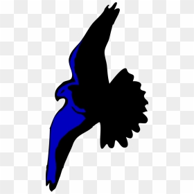 Eagle Clipart Vector - Hawk Cartoon, HD Png Download - eagle vector png