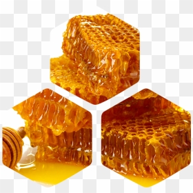 Honey Comb Png, Transparent Png - honey comb png