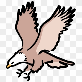 Transparent Eagle Vector Png - American Bald Eagle Cartoon, Png Download - eagle vector png