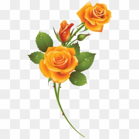 Rose - Background Yellow Rose Png Transparent, Png Download - yellow rose png