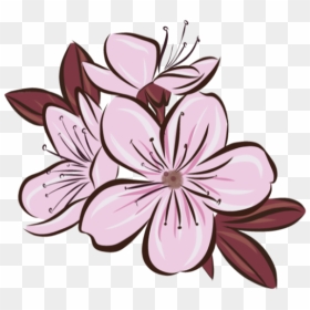 Transparent Sakura Flower Png - Sticker Of Japan Flower, Png Download - lilac png
