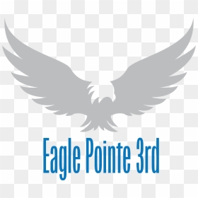 Adjacent To Davies High School And Close To Fantastic - Golden Eagle, HD Png Download - eagle vector png