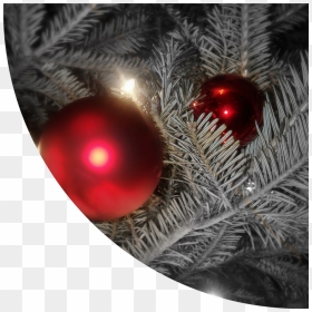 Christmas Tree, HD Png Download - modern christmas tree png