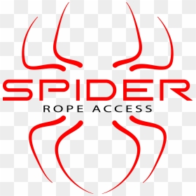 Spider Rope Access, HD Png Download - spiders png