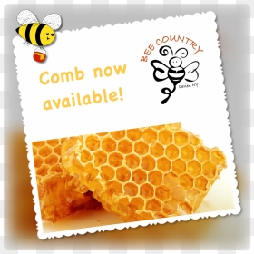 Forever Bee Propolis, HD Png Download - honey comb png