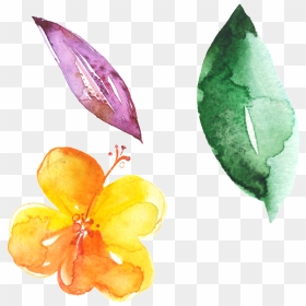 Hand Painted Flowers Green Leaves Beautiful Png - Rosa Glauca, Transparent Png - beautiful png