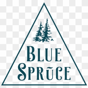 Blue-spruce, HD Png Download - modern christmas tree png