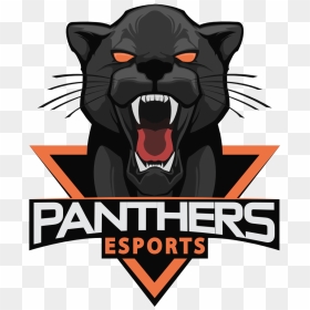 Panthers Esports, HD Png Download - panthers png