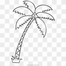 Coloring Book Coconut Coloringagesalm Tree Leaficture - Big Palm Tree Drawing, HD Png Download - palmeras png