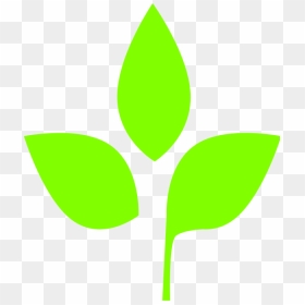 Leaf Icon Png, Transparent Png - leaf icon png