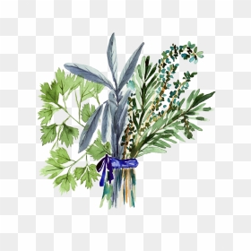 Herbs, HD Png Download - herbs png