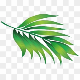 Transparent Green Leaf Icon Png - Hawaii Leaves Png, Png Download - leaf icon png