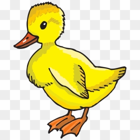 Duck Clip Art, HD Png Download - ducks png