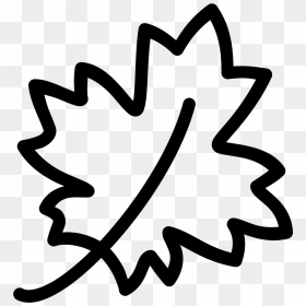 Maple Leaf Icon - Fall Leaf Icon Png, Transparent Png - leaf icon png