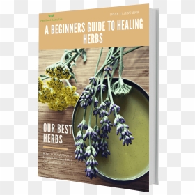 7c608bae16c01519268193 Herb 3d Book Cover Reduced Twice - Herbal Medicine, HD Png Download - herbs png