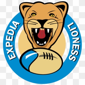 Lioness Sports Logos, HD Png Download - lioness png