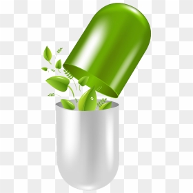 For Treating Alzheimer S - Herbal Medicine Logo Png, Transparent Png - herbs png