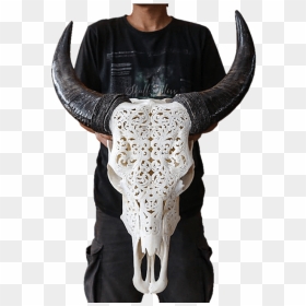 Calved Cow Horn Skull, HD Png Download - cow skull png