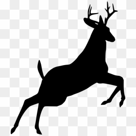 Deer Jumping Silhouette, HD Png Download - buck png