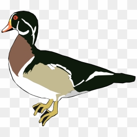 Thumb Image - Duck Clipart Panda, HD Png Download - ducks png