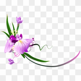 Iris Flower Clipart Clipart Black And White Iris Flower - Sympathy Clipart, HD Png Download - iris png
