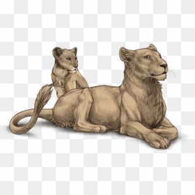 Lioden Folded Ears, HD Png Download - lioness png