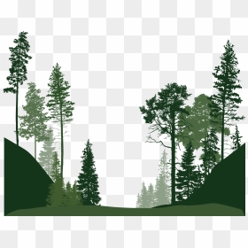 Forest Png Image File - India State Of Forest Report 2019, Transparent Png - fir tree png