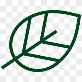 Hhc Leaf Icon - Bola De Volei Icon, HD Png Download - leaf icon png