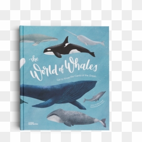 World Of Whales Get To Know The Giants Of, HD Png Download - blue whale png