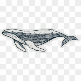Humpback Whale Sticker, HD Png Download - blue whale png