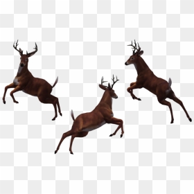 Buck 10 By Free Stock - Deer Jumping Silhouette, HD Png Download - buck png