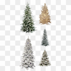 Misc Frosted Christmas Tree Pngs By Dbszabo1 - Flocked Christmas Tree Png, Transparent Png - christmas pngs