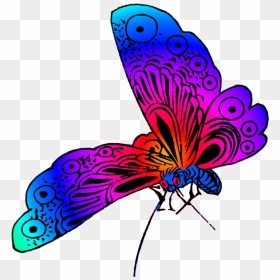 Beautiful Butterfly Image - Butterfly Drawing, HD Png Download - beautiful png