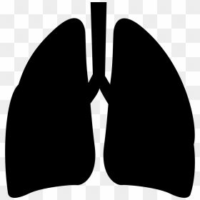 Lungs - Lungs Vector Png Black, Transparent Png - lungs png