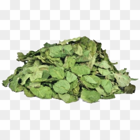 Herbs & Botanicals-moringa Leaves - Moringa Dry Leaves Png, Transparent Png - herbs png