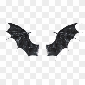 #batwings - Realistic Black Dragon Wings, HD Png Download - shield with wings png