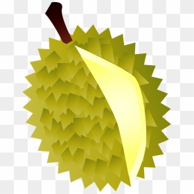 Durian Fruits Food Clipart - Blue Book Services Logo, HD Png Download - food clipart png