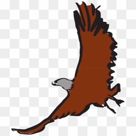 Eagle, HD Png Download - eagle vector png