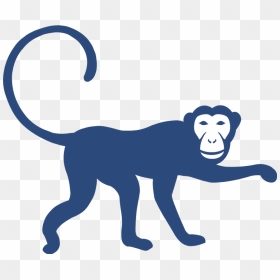 Monkey Icon-no Circle - Monkey, HD Png Download - no circle png
