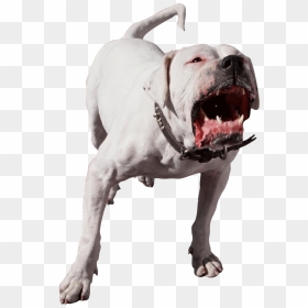 Fighting Png , Png Download, Transparent Png - fighting png