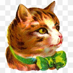 Cat Pet Animal Antique Image Transfer Illustration - Clip Art, HD Png Download - cat .png