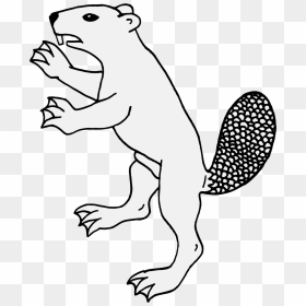 Rampant Beaver, HD Png Download - beaver png