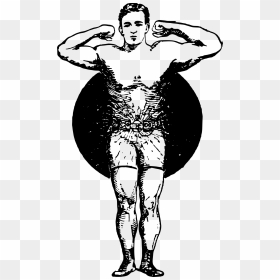 Muscle Man In Circle Clip Arts - Portable Network Graphics, HD Png Download - muscle man png