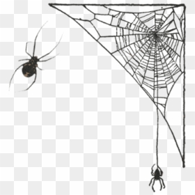 #spider #spiderweb #corner #frame #spiders - Spider Web, HD Png Download - corner spider web png