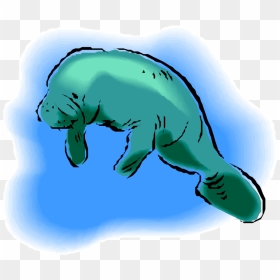 Transparent Manatee Png - Sea Cow, Png Download - manatee png